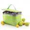 cheap cool carry insulated cooler bag for women