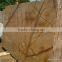 Rainforest Gold Marble