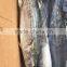 New Arrival High Quality Frozen Spanish Mackerel Fish W/R