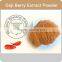 High Quality Health Goji Powder