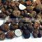fresh black truffle/fresh desert truffle/ truffles mushroom price