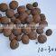 LECA ball hydropponic light expanded clay for garden growing