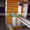 Automatic egg collect machine for chicken farm