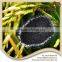 Efficient Better Price 100% Natural Green organic potash fertilizer