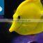 China manufacturer marine aquarium filter tropic fish salt