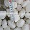 China White Round Pebble Stone For Pavers