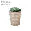 big lines concrete garden ourdoor balcony flower plant pot