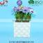 Dimple with whitewash design Cheap Square Ceramic flower pots and planters