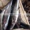 exotic mackerel spanish