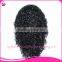 Natural Hairline Gluless Silk Top Full Lace Afro Kinky Human Hair Wig