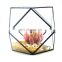 geometric terrarium geometric glass terrarium wholesale pyramid shape Lead-free