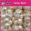 wholesale ABS beads 2017 manufacturer decoration plastic pearl beads