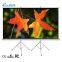 Hot Sale 4:3 / 16:9 Format Outdoor Portable Tripod Projection / Projector Screen