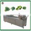 Industrial strawberry washer machine  /ozone vegetable washer machine/ letture air bubble washing machine