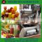 Best selling commercial Fruit Juicer supplier/vegetable and fruit juicers&apple juice production line