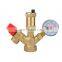 Brass Boiler Parts Set with vent valve/safety valve