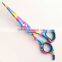 Hair Scissors (Multi Paper Color Coated)