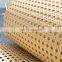 Plastic Cane Webbing 24