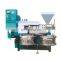 High Oil Yield Cold Pressed Automatic Moringa Oil Pressers/Oil Pressing Machine