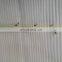 ac tackle 14 ft fishing rod bone fishing rod