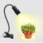 LED-Pflanzenwachslicht mit G?nsehals und Einzelkopf, Clip-on-Pflanzenlicht für S?mlinge und Sukkulenten, Wachslampe