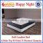 Gold Supplier Spring Mattress Price Mattress Manufacturer from China CF16-03#