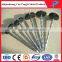 Spiral nail/Twist shank galvanized roofing nails with plastic washer/umbrella head nail factory