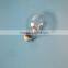 halogen lamp 400w A60