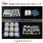 disposable plastic quail eggs tray