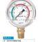 Stainless Steel Pressure Gauge