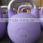 2016 NEW HOT Hollow Stainless Steel Handle Steel Competition Kettlebell Gravity Cast Iron Kettlebell