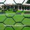 2016 Hexagonal Chcken Mesh for animals