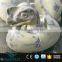 OAV2412 Real size dinosaur fossil egg for sale