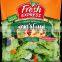 fresh vegetable salad pouch packing machine