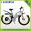Brushless Motor 28 inch electric cheap electric bike with fat tire