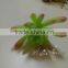 Latest beautiful artificial succulent plants succulent plants for decoration
