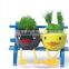 Mini Plant Growing Kit, Mini Plant Kits, Potted Plant Kit