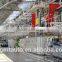 Overseas assembly plant for E-SUV S30 (Joint Venture)