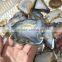 Natural Agate Slices Wholesale Crystal Stones For Sale