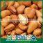 Bulk Popular Fast Food Open Pine Nuts in Shell