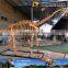 MY Dino-C034 Museum good quality dinosaur skeleton