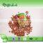 Dried meterial canned pinto beans with good quality
