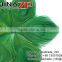 Leading Supplier CHINAZP Wholesale Wonderful Cheap Dyed Kelly Green Trimmed Peacock Feathers Eyes for Earrings