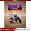 Halloween Decoration 2pcs Flocking spider insect