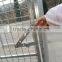 powder coated or galvanized mesh dog kennel/ pet cage factory