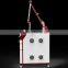 Health Department Use Pico Laser Q Switch ND Yag Active Laser