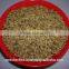 Barley malt / Hordeum vulgare Malt / Malt Grains Barley /