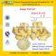GMP Certified Manufacturer Supply Natural Ginger Extract