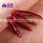 2015 Crop Dried Hot bullet Chili Pepper