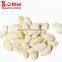 Grade AA hulled pumpkin seeds